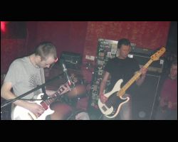 Whitebuzz 05.JPG